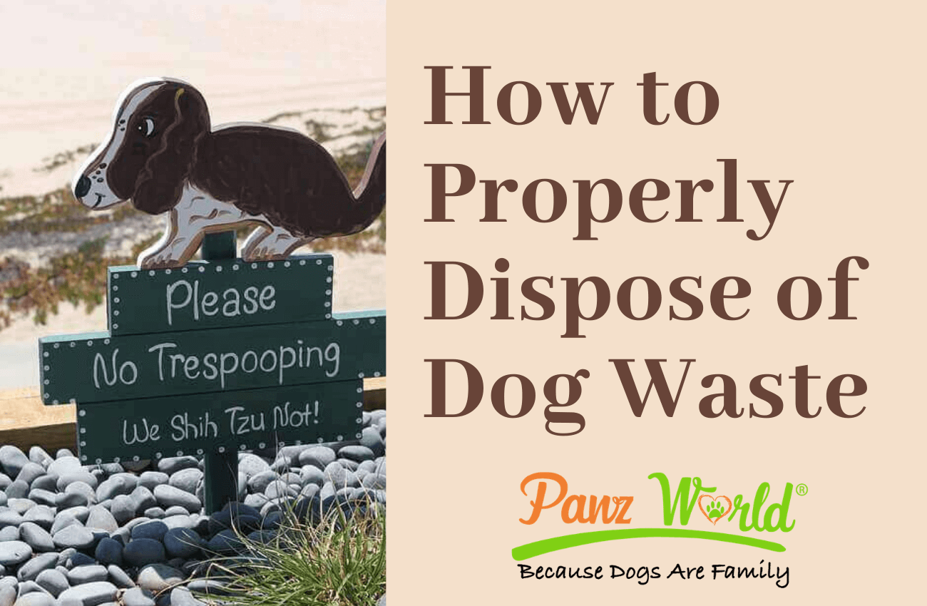 How To Dispose Of A Pet Dog at Junior Beckman blog